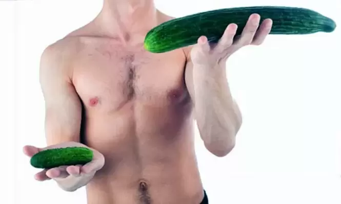 small and large penis sizes using cucumbers as an example